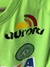 Camisa chapecoense GG na internet
