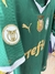 Camisa palmeiras M na internet