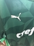 Camisa Palmeiras M na internet