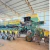 Plantadeira TATU USAP - comprar online
