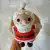 Papai Noel