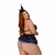 Fantasia Plus Size Com Bojo Bruxinha I Roxa - comprar online