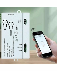 Módulo Wi Fi Para Portón Automático App Ewelink