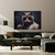 Quadro gato lutador - Animais QR0040