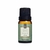 Essência Green Wood Via Aroma - 10ml