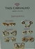 Cartela Semaninha - Aesthetic Collection na internet