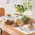 Set X5 Piezas Ensaladera Bowl Compotera Vidrio Caralee - FIRST CONCEPT INTERNACIONAL SRL