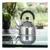 Pava Pico Matero 1,6 Litros Acero Inoxidable Tetera Mate - FIRST CONCEPT INTERNACIONAL SRL