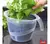 Centrifugador Secador De Verduras Ensaladas en internet