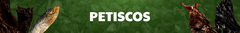 Banner da categoria Petisco