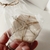 Pack Morita - comprar online