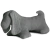DOG Rian Tricot on internet