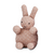 Bunny Rian Tricot na internet