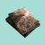 O encanto dos corvos - Margaret Rogerson - Literalize