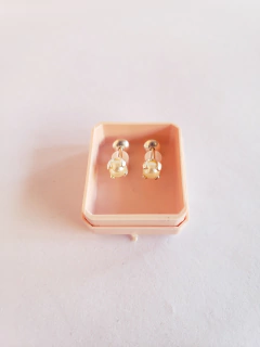 Abridores de Plata (AP0232)