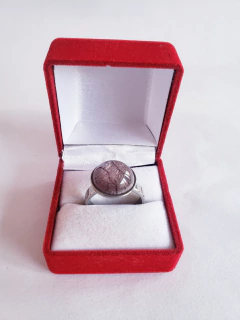 Anillo Acero Quirúrgico (ANI0359)