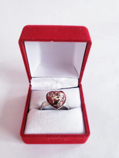 Anillo Acero Quirúrgico (ANI0565)