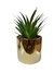 Planta Artificial En Maceta Cerámica Dorada Cactus Suculenta - comprar online