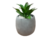 Pack X3 Plantas Artificiales en Maceta Cemento Cactus Suculenta en internet