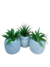 Pack X3 Plantas Artificiales en Maceta Cemento Cactus Suculenta - comprar online
