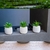 Pack X3 Plantas Artificiales en Maceta Cemento Cactus Suculenta