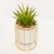 Planta Artificial En Maceta Ceramica Con Soporte Metalico Gold en internet