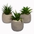 Pack X3 Plantas Artificiales en Maceta Cemento Cactus Suculenta - comprar online