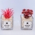 Pack X2 Plantas Artificial en Maceta Vidrio Cactus Suculenta - comprar online