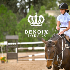 Banner de la categoría STOCK SALE DH 