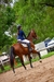 Carrusel 3