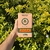 CANARIAS TE ROJO Y CENTELLA x 500g - comprar online