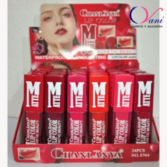 Lip Color Mate ( Brillo Labial Matte) - comprar online