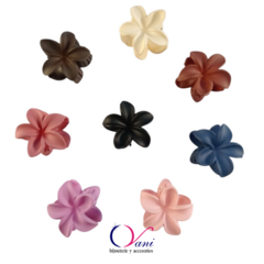 Broches Hawaianos en internet