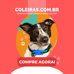 Coleira Ny 25 mm - coleiras.com.br