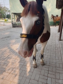CABRESTO DE CAVALO PERSONALIZADO - coleiras.com.br