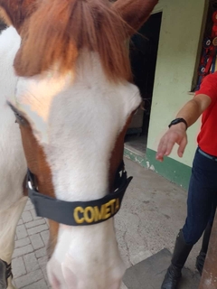 CABRESTO DE CAVALO PERSONALIZADO - comprar online