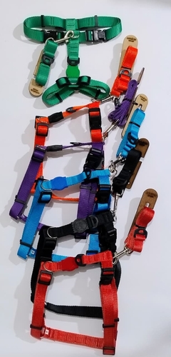 PEITORAL ENGATE DUPLO 25 MM TAM 4 - comprar online