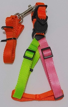 PEITORAL AMERICANO 20 MM TRI COLOR - comprar online