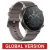 SmartWatch Huawei Watch GT2 Pro na internet