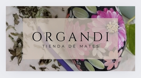 Carrusel Organdi.rg