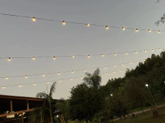 Guirnalda de lamparas incandescentes - comprar online