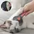 Escova Removedora de pelo para PETS na internet
