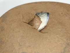 Casco Alemán M-40 Reliquia de Campo de Batalla