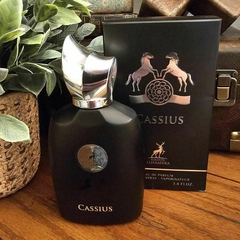 CASSIUS - EAU DE PARFUM 100 ML en internet