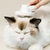 Imagem do Pente mágico para gato e cão, depilação universal, um clique flutuante, supr