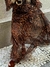 Imagem do Saia midi animal print em tule