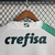 Imagem do Camisa Palmeiras II 23/24