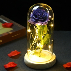 Rosa Eterna Galáxia Encantada de LED com Cordão de Luzes de Fada em Cúpula na internet