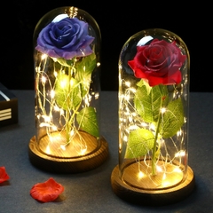 Rosa Eterna Galáxia Encantada de LED com Cordão de Luzes de Fada em Cúpula - loja online