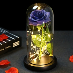 Rosa Eterna Galáxia Encantada de LED com Cordão de Luzes de Fada em Cúpula